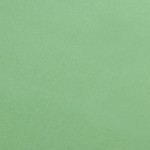 ΠΑΝΙ ΚΑΘΑΡΙΣΜΟΥ ΓΙΑ ΟΘΟΝΕΣ ΗΛΕΚΤΡΟΝΙΚΩΝ ΣΥΣΚΕΥΩΝ/ΓΥΑΛΙΩΝ ΜΕ ΥΦΗ ΣΑΤΕΝ ΠΡΑΣΙΝΟ 30x40cm Πανιά