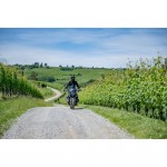 Ασύρματος Φορτιστής Κινητού Wireless Vibration Dampener 15W της σειράς Optiline με 3D Αντικραδασμικό Σύστημα, Duolock 2.0, Καλώδιο 180 cm, Βύσμα SAE, Ασφάλεια, συμβατή με Βάσεις, Θήκες ή Αντάπτορες Κινητού Optiline ή Βάσεις Στήριξης με μπίλια 19 mm Φορτισ