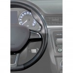 KIT ΑΝΑΝΕΩΣΗΣ ΚΑΙ ΠΡΟΣΤΑΣΙΑΣ ΔΕΡΜΑΤΩΝ ΣΕ ΜΑΥΡΟ ΧΡΩΜΑ QUIXX BLACK LEATHER COLOUR KIT 50ml Χημικά Επισκευής