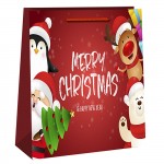 ΤΣΑΝΤΑ ΔΩΡΟΥ ΧΡΙΣΤΟΥΓΕΝΝΩΝ 23x17x8cm Xmasfest 1131828 Τσάντες Δώρου