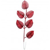 Λουλούδια Χριστουγεννιάτικα