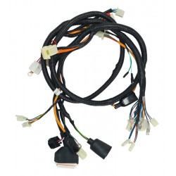 ZNEN ανταλλακτική κύρια καλωδίωση 32100-AGE5-9001 για Comet Ανταλλακτικά scooter