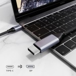 CABLETIME καλώδιο USB-C σε DisplayPort CT-CMDP2, 4K/30Hz, 1.2m, μαύρο USB-C (Type-C)