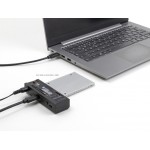 DELOCK docking station για M.2 NVMe/SATA ή 2.5"/3.5" SSD/HDD 64253, 10Gbps, μαύρο Θήκες & Trays Σκληρών Δίσκων