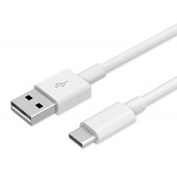 POWERTECH καλώδιο USB-C σε USB PTR-0182, 2A, 1m, λευκό USB-C (Type-C)
