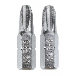 DELI σετ μύτες κατσαβιδιού DL251003, μαγνητικές, PH3x25mm, 2τμχ Κατσαβίδια