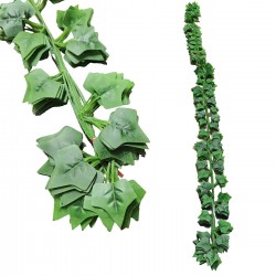 ΚΙΣΣΟΣ ΑΝΑΡΡΙΧΩΜΕΝΟΣ ΣΕΤ=12x2,1cm 12 ΤΕΜ x 2,1m Homie 423045 Είδη Κήπου